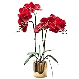 CXGS Artificial Orchid Flower Plants Real Touch Faux Orchids in Ceramic Vase Realistic White Phalaen