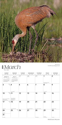 Wisconsin Wild & Scenic | 2024 12 X 24 Inch Monthly Square Wall Calendar | Browntrout | Usa United States Of America Midwest State Nature #TOP2