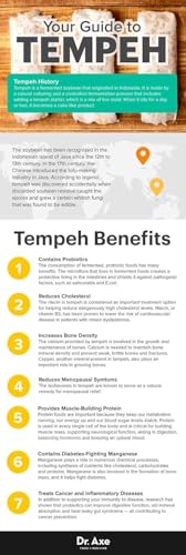 Woh Tempeh Chips Fermented Soy Bean Wasabi (Pack of 2)