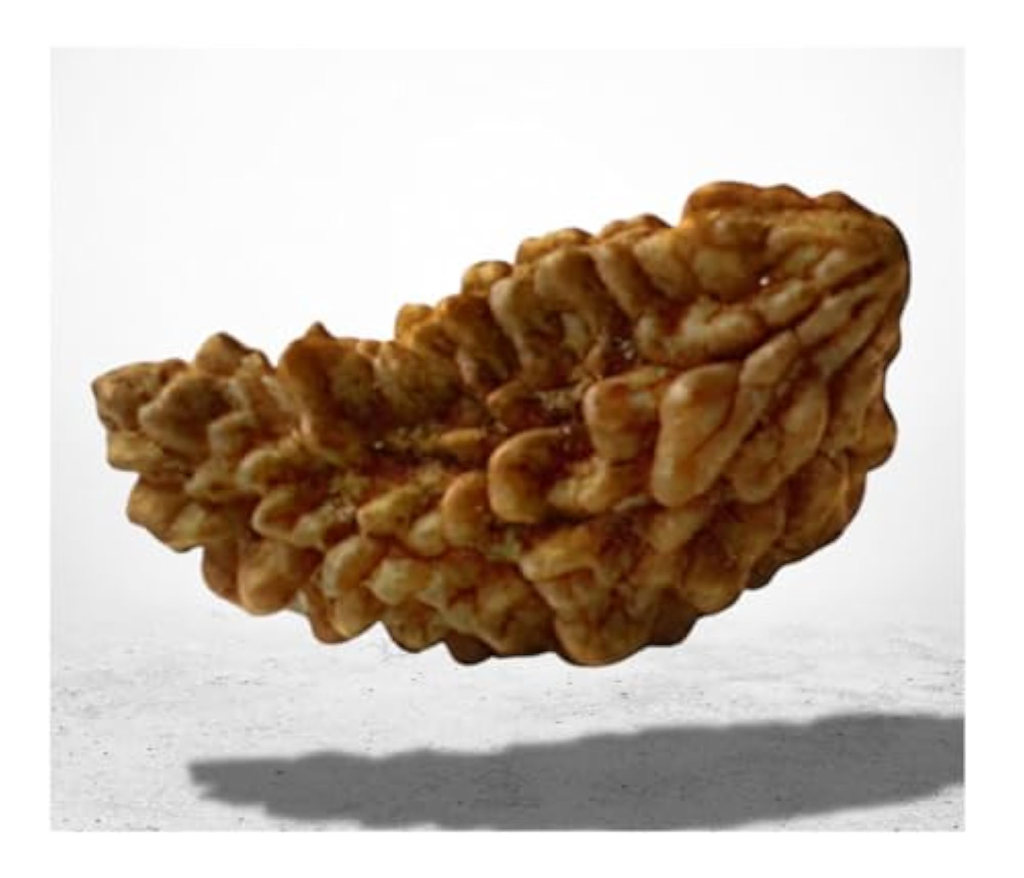 Certified Original Nepali 1 Mukhi Rudraksha Pendant