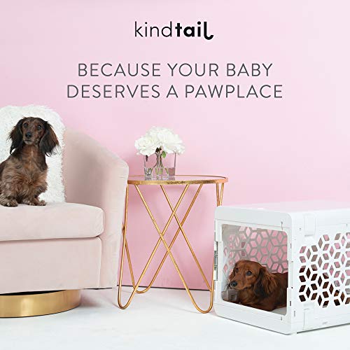 PAWD Fully Collapsible Dog Crate, Stylish Portable Dog Crate for Pet Travel, Dog Kennel for Small Dog or Cat, Small… - Image 3