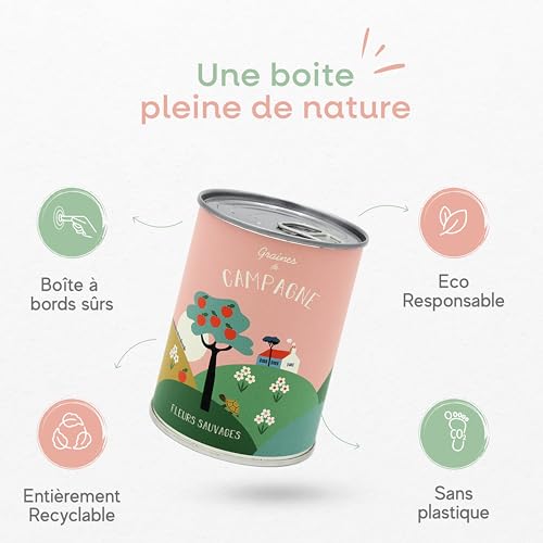 Graines de fleurs sauvages : kit de semis ultra simple