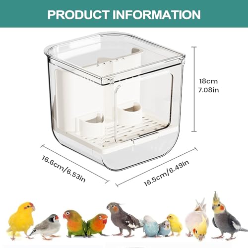 Mangeoire cage oiseau intérieur pour perruche et calopsitte