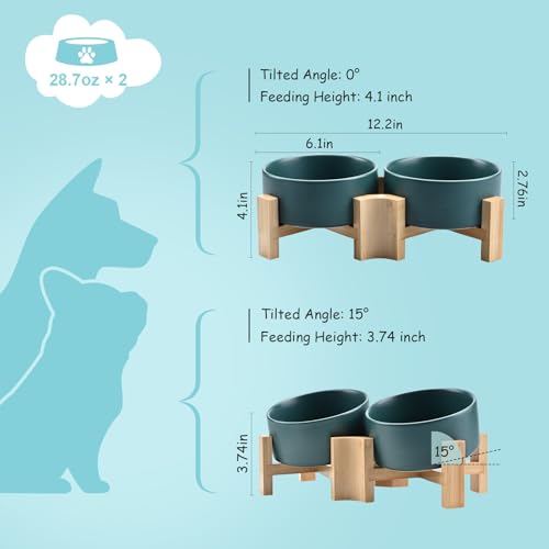 SPUNKYJUNKY 15° Slanted Ceramic Dog and Cat Bowl with Wooden Stand, Tilted Bulldog Food and Water Bowl No Slip Non-Spill for Cats Medium Dogs Big Face Pets 28.7 OZ (3.6 Cups, Green × 2) by SPUNKYJUNKY - Image 4