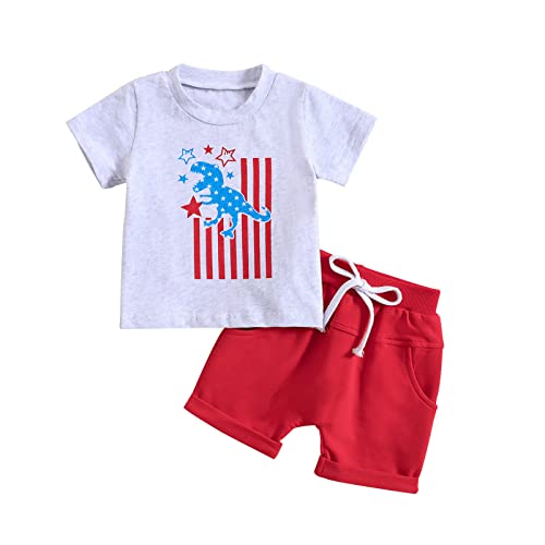Ensemble de fête 4 juillet garçon pour les pique-niques en famille