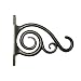 Panacea Plant Bracket with Scroll Brushed, Bronze, 6"