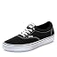Canvas Black White