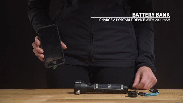 Amazon.com : Renogy E.Lumen 500 Multi-Functional Flashlight
