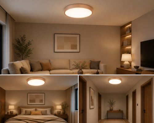 Image of AHUJA INTERNATIONAL Modern Deco Surface Ceiling Light 3W Brass Aluminum Decorative Indoor Lighting Fixture for Living Room, Bedroom, Hallway, Hotel & Home Decor Warm White Pack of 1, (Rose Gold)