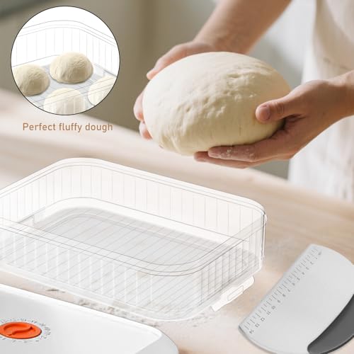 Pizzaballenbox mit Deckel, 31 x 23 x 9 CM Pizzateig Box mit Edelstahl Teigkart, Teigballenbox mit Datumsaufzeichnung Teigwanne Teigbox Pizzateigbehälter Lebensmittelbehälter für Pizzateig Sauerteig