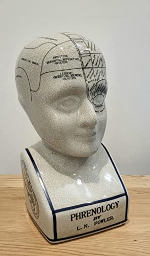 Assorted Collections Phrenology Head – Keramikornament, Sammlerstück, Retro-Büste – Glasur-Finish – Blickfang – Arzttisch – LN Fowler – Gehirnsinne 28 cm