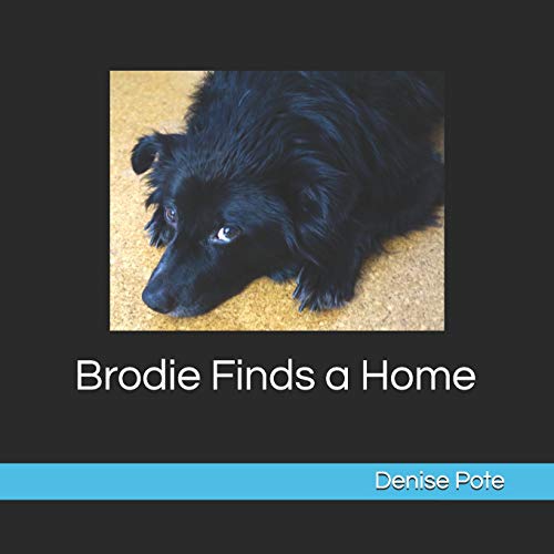 Brodie Finds a Home: Book 1 (The Adventures of Brodie the Dog)