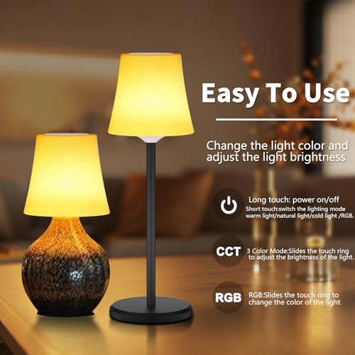 Image of 2Pack Wireless Wine Bottle Lamp Dimmable Rechargeable 3 Color&RGB LED Bottle Lights for Liquor & Wine Bottles Touch Control Battery Operated LED Lamp ABS Cordless Lampshade (2, Wine bottle+Table lamp)