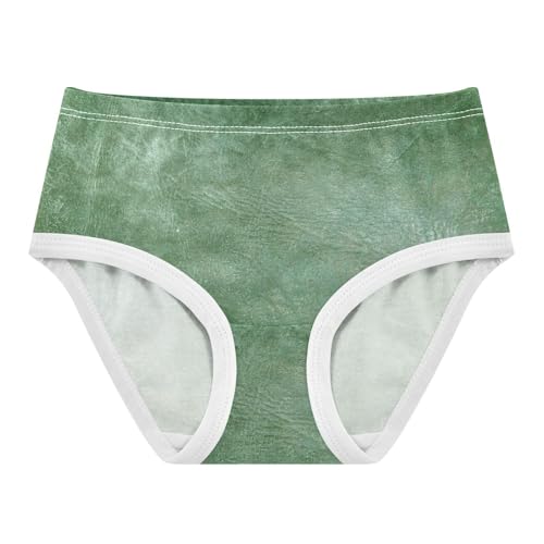 Sport Panties All Seasons Panties Organic Underpants for Toddlers in Sizes 2T,3T, 4T, 5T, 6Y and 8Y