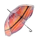 クラゲ 傘 青い 日系 幻想的な海月 残光 波 長傘 日傘 透明 手動開閉 子供 青い 日系 幻想的な海月 メンズ レディース 小学生 大きい 晴雨兼用 防水 焼け防止 可愛いファッション 耐久性 日常通勤 摄影用 贈り物 (残光) [並行輸入品]