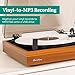 Electrohome Montrose Wireless Vinyl Record Player 2-Speed Belt-Drive Turntable, with Audio-Technica Stylus, Bluetooth, Vinyl-to-MP3 Recording, Speed Control Motor, Built-in Preamp, Wood Plinth (RR36)