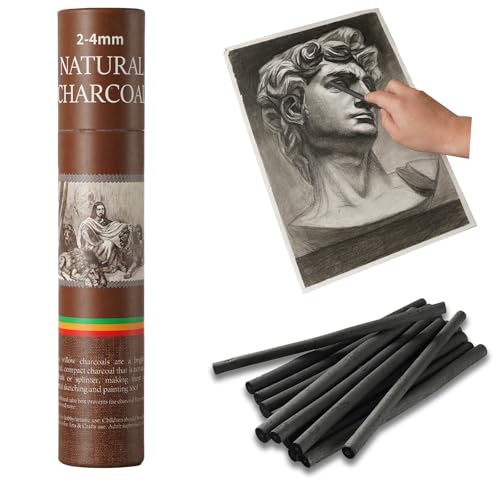 25 PCS Willow Charcoal Sticks, Ideal for Artists, Beginners, Stud...
