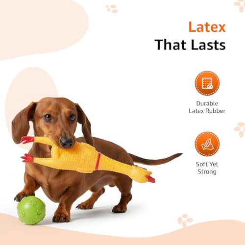 Image of Amazon Basics Interactive Dog Toy Combo | Squeaky Yellow Chicken & Rubber Ball | Latex Chew & Fetch | Non-Stuffed | for Puppies & Small Dogs