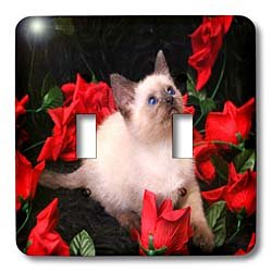 Interrupteur double haut de gamme au motif de roses siamoises rouges collection 3dRose