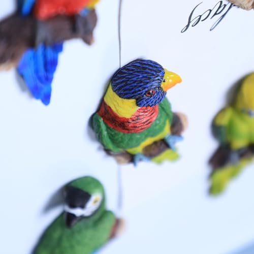 5 imanes de loro decorativos para refrigerador miniatura 7