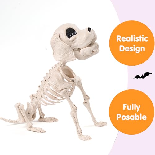Image of JOYIN Posable Halloween Dog Skeleton Full Body Posable Joints Realistic Skeleton Puppy with Movable Joints for Halloween Decoration, Graveyard Party Decor (9.8 inch X 4.7 inch X 12.6 inch)