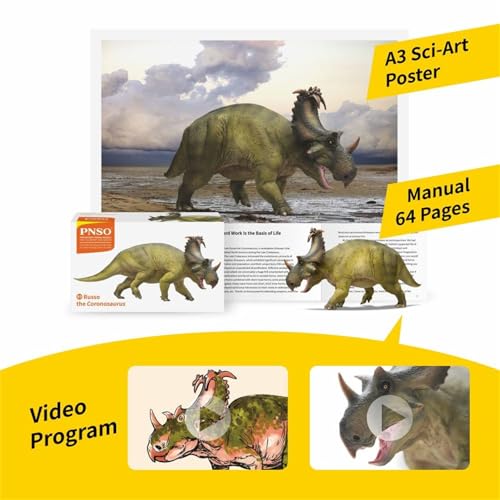 Dinosaure Ceratopsidae AMITD 89 Coronosaurus Russo pour décor de bureau - 4