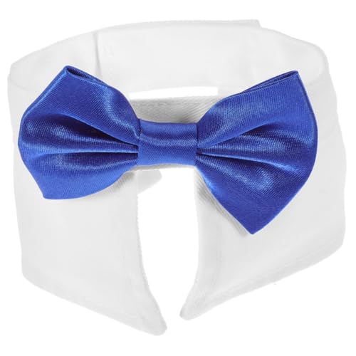 CHICAMPERA p߉\ȒlN^C Lp킢ybgp tH[}Beap[eB[ɂȌyʃfUC