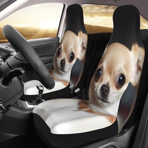 Housse de siège auto chihuahua imperméable pour sorties de route