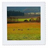 Square dimensions (in inches): 25 L x 25 W, image dimensions (in inches): 23 L x 23 W 100% poloyester; image is soft to touch. Made in USA Edges have pinking shear cut Image will not fade with washing. Image not a transfer, part of material