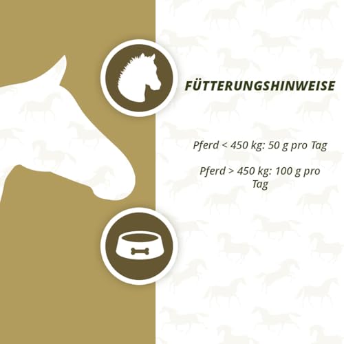 Holland Animal Care Excellent Equi Prebiotics - Fördert die Darmtätigkeit und REGT den Appetit an - Geeignet für Pferde - 2,5kg