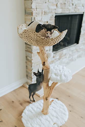 Wooden Cat Tree Tower, Modern Single Branch Cat Condo, Wood Cat Tree, Cat Climbing, Furniture For Cat, Cat Lover Gift, Cat Furniture,Cat Gift By Mau Lifestyle (Alpine White) #TOP5