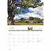 Carousel Worldwide, New Forest 2026 A4 Wall Calendar