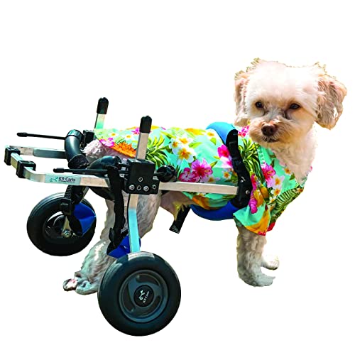 4 Best Small Dog Wheelchairs 2023 There's One Clear Winner