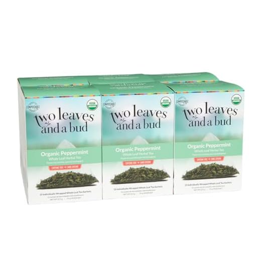 Organic Peppermint Tea Bags - 15 Count
