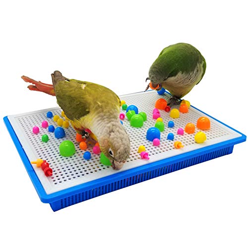 QBLEEV Parrot Puzzle Toys - Bird Intelligence Training, Parakeet & Conure Cage Accessories, Cockatiel Foraging & Chewing Toys
