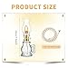 TANEMUDO 7 Set Vintage Glass Kerosene Lamp with 4 pcs 3.28 ft Wick Rustic Oil Lantern for Indoor Use and Hurricane Lighting Decor Emergency, Clear Lamp (Trendy Style)