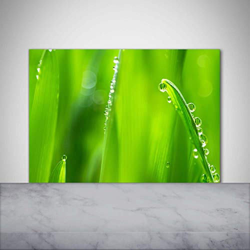 Splashback guard Tulup fond de hotte en verre de sécurité de qualité - 2