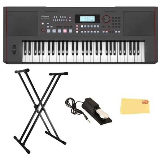 Roland E-X50 Electronic Arranger Keyboard Bundle with Sustain Pedal, Adjustable Stand, Online Piano Lessons, and Austin Bazaar Polishing Cloth
