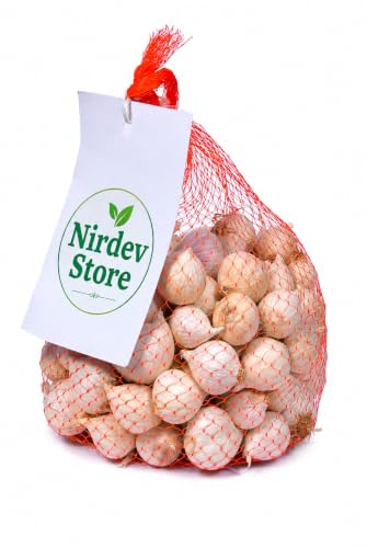 Nirdev Store Fresh Garlic Whole Bulb 200g