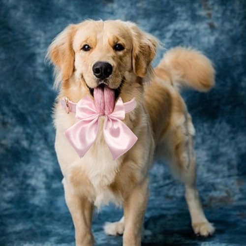 Verstellbares Haustierhalsband für kleine bis große Hunde und Katzen, Hundehalsband, Hundetraining, Halsband, tägliches Spazierengehen, Halsbänder für kleine Hunde