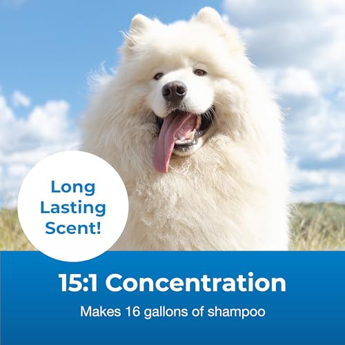Pet-Ag-Fresh-n-Clean-Whitening-Snowy-Coat-Shampoo-Vanilla-Scent-151-Concentrate-1-Gallon-Bleach-Free-Formula-to-Correct-Yellow-Discoloration-Strengthens-Moisturizes-Coats-Soap-Free - Cucciolini Doodles   Pet-Ag-Fresh-n-Clean-Whitening-Snowy-Coat-Shampoo-Vanilla-Scent-151-Concentrate-1-Gallon-Bleach-Free-Formula-to-Correct-Yellow-Discoloration-Strengthens-Moisturizes-Coats-Soap-Free