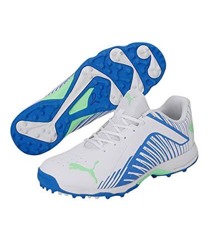 Image of Puma Men 22 FH Rubber Cricket Shoe