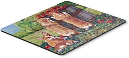 Caroline's Treasures 7351MP Apple Helper Corgis Mouse Pad, Hot Pad or Trivet for Home Office Gaming Working Computers Laptop Mouse Mat,Washable Large Mousepad image 2