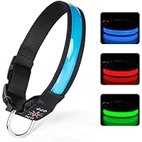 TENXSNUG Collar Luminoso Perros Recargable por USB Collar LED