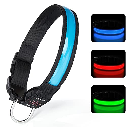 TENXSNUG Collar Luminoso Perros Recargable por USB, Collar LED Ajustable para Perros con 3 Modos de Iluminación para Perros Pequeños Medianos Grandes Que Caminan de Noche con Seguridad - Azul - M