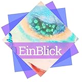  EinBlick