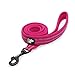 Chai's Choice Best Padded 3M Reflective Outdoor Adventure Dog Leash. (78" Medium, Fuchsia)