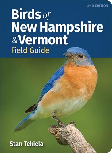 Birds of New Hampshire & Vermont Field Guide (Bird Identification Guides)