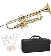 Amazon.co.jp: Jマイケル トランペット TR-300S : 楽器・音響機器