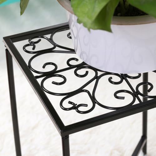 Support à bonsaï en fer noir Angoily pour pots de fleurs intérieur
